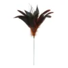 Cheap ✨ Chocolate Peacock Feather Pick by Ashland® 🌟 -Outlet Yuletide Joy Store 10677446 1