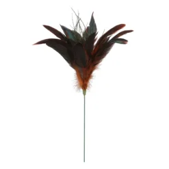 Cheap ✨ Chocolate Peacock Feather Pick by Ashland® 🌟