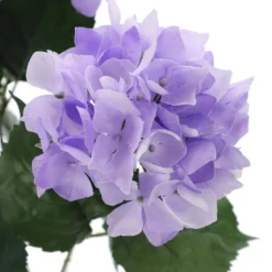 Best Pirce ✨ 12 Pack: Purple Hydrangea Bush by Ashland® 🌟 -Outlet Yuletide Joy Store 10677449 3 1