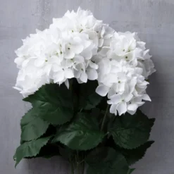 New 🔔 12 Pack: White Hydrangea Bush by Ashland® 👏 -Outlet Yuletide Joy Store 10677450 22 1