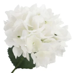 New 🔔 12 Pack: White Hydrangea Bush by Ashland® 👏 -Outlet Yuletide Joy Store 10677450 3 1