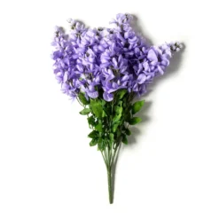 Best Sale 😍 Purple Wisteria Bush by Ashland® 💯 -Outlet Yuletide Joy Store 10677451 21