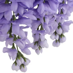 Best Sale 😍 Purple Wisteria Bush by Ashland® 💯 -Outlet Yuletide Joy Store 10677451 6