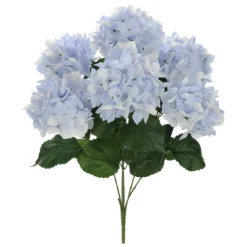 Best reviews of 😀 Light Blue Hydrangea Bush by Ashland® 🧨