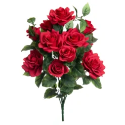 Promo 🎁 Red Rose Bush by Ashland® 😀