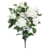 Best reviews of π White Rose Bush by Ashland® β€οΈ 1 Best reviews of π White Rose Bush by Ashland® β€οΈ -Outlet Yuletide Joy Store 10677458 1