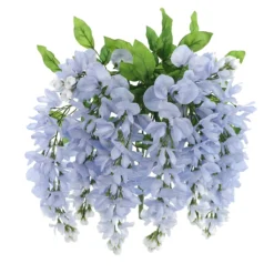 Top 10 🔔 12 Pack: Blue Wisteria Bush by Ashland® 😍 -Outlet Yuletide Joy Store 10677460 5 1