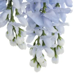 Top 10 🔔 12 Pack: Blue Wisteria Bush by Ashland® 😍 -Outlet Yuletide Joy Store 10677460 6 1