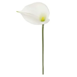 Outlet 👏 White Calla Lily Stem by Ashland® 👍 -Outlet Yuletide Joy Store 10679176 2