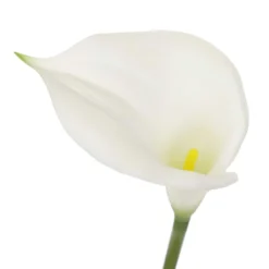 Outlet 👏 White Calla Lily Stem by Ashland® 👍 -Outlet Yuletide Joy Store 10679176 3