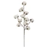 Coupon ⌛ Cotton Stem by Ashland® 🤩 -Outlet Yuletide Joy Store 10679177 1