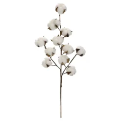 Coupon ⌛ Cotton Stem by Ashland® 🤩