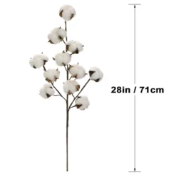 Coupon ⌛ Cotton Stem by Ashland® 🤩 -Outlet Yuletide Joy Store 10679177 3