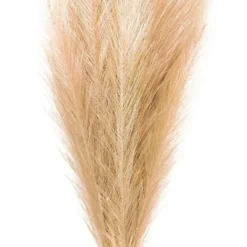 Budget ❤️ Wispy Pampas Grass Stem by Ashland® ✨ -Outlet Yuletide Joy Store 10679178 2