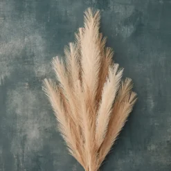 Budget ❤️ Wispy Pampas Grass Stem by Ashland® ✨ -Outlet Yuletide Joy Store 10679178 20