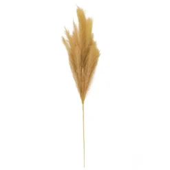 Budget ❤️ Wispy Pampas Grass Stem by Ashland® ✨ -Outlet Yuletide Joy Store 10679178 3