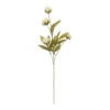 Wholesale ⌛ Cream Peony Stem by Ashland® ✔️ -Outlet Yuletide Joy Store 10679180 1
