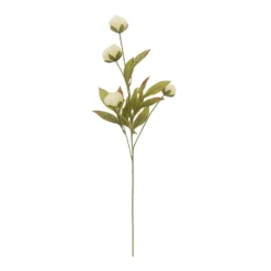 Wholesale ⌛ Cream Peony Stem by Ashland® ✔️