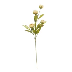 Deals 😉 Tan Peony Stem by Ashland® ❤️