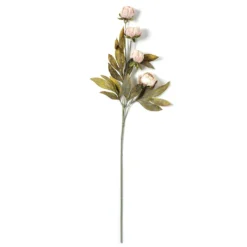 Deals 😉 Tan Peony Stem by Ashland® ❤️ -Outlet Yuletide Joy Store 10679183 21