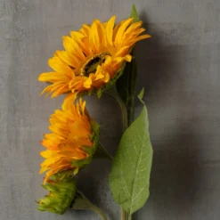 Buy 🧨 Gold Sunflower Stem by Ashland® 😀 -Outlet Yuletide Joy Store 10679189 25