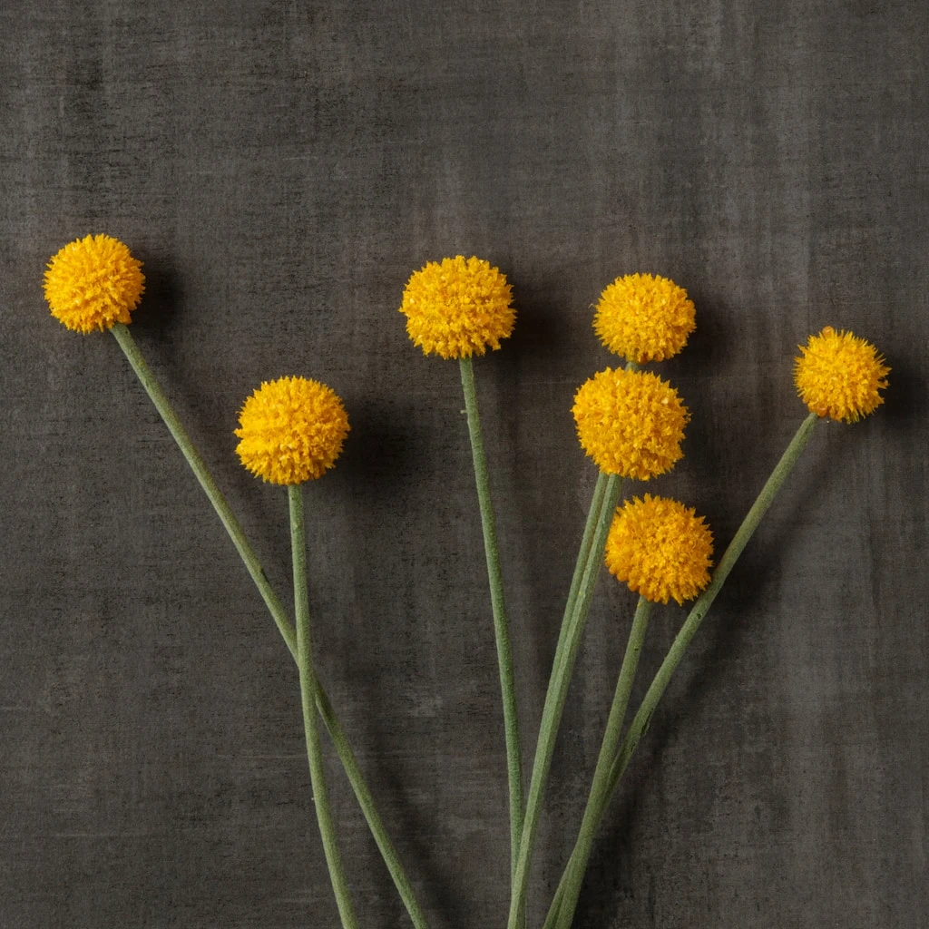 Outlet ✔️ Yellow Billy Ball Stem by Ashland® ✨ 7 Outlet ✔️ Yellow Billy Ball Stem by Ashland® ✨ - Image 5