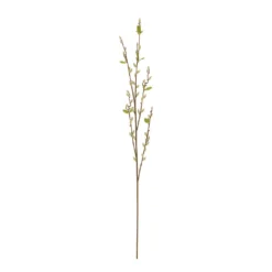 Cheapest 🎁 16 Pack: Cream Willow Branch Stem by Ashland® 🤩