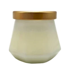 Discount π Faceted Mini Jar Candle by Ashland® π₯ 7 Discount π Faceted Mini Jar Candle by Ashland® π₯ -Outlet Yuletide Joy Store 10689060 3