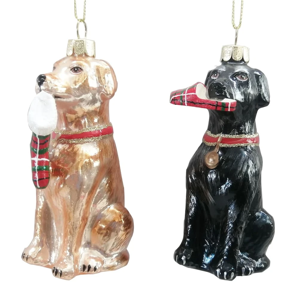 Discount ⭐ Assorted 4" Glass Lab 🌟 Dog Ornament by Ashland® ❄ Christmas ⭐ 3 Discount ⭐ Assorted 4" Glass Lab 🌟 Dog Ornament by Ashland® ❄ Christmas ⭐