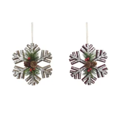 New ⭐ Assorted Snowflake Ornament by Ashland® ✨
