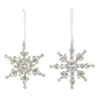 Flash Sale ⌛ Assorted 5'' Silver Jewel Star 🧨 Christmas Ornament by Ashland® 😀 -Outlet Yuletide Joy Store 10698595 1