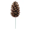 Best Sale ⭐ Pinecone Pick by Ashland® ❤️