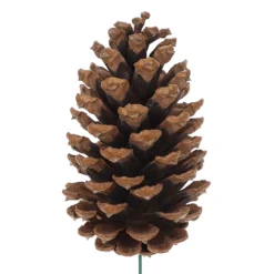 Best Sale ⭐ Pinecone Pick by Ashland® ❤️ -Outlet Yuletide Joy Store 10698756 2
