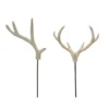 Best Sale ❤️ Assorted Deer Antler Pick by Ashland® 👍