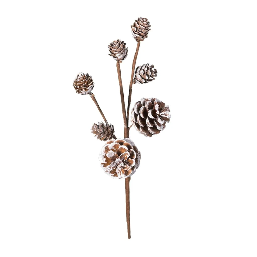 Best reviews of ✔️ Snowy Pinecones Pick by Ashland® ✨ 3 Best reviews of ✔️ Snowy Pinecones Pick by Ashland® ✨
