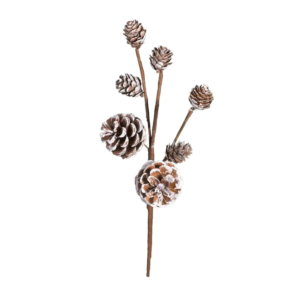 Best reviews of ✔️ Snowy Pinecones Pick by Ashland® ✨ 5 Best reviews of ✔️ Snowy Pinecones Pick by Ashland® ✨ - Image 3