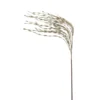 Buy ⌛ Champagne Grass Pick by Ashland® ✔️ 2 Buy ⌛ Champagne Grass Pick by Ashland® ✔️ -Outlet Yuletide Joy Store 10699310 1