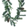 Promo 🤩 6ft. Snow Pine with Blueberries Garland by Ashland® ⭐