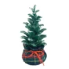 Top 10 ✔️ 8'' Small 🔔 Christmas Tree with Base Tabletop Décor by Ashland® 🛒 2 Top 10 ✔️ 8'' Small 🔔 Christmas Tree with Base Tabletop Décor by Ashland® 🛒 -Outlet Yuletide Joy Store 10699561 1