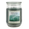 Deals ❤️ Midnight Forest Scented Jar Candle by Ashland® 🌟 -Outlet Yuletide Joy Store 10699741 1