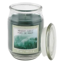 Deals ❤️ Midnight Forest Scented Jar Candle by Ashland® 🌟 -Outlet Yuletide Joy Store 10699741 2