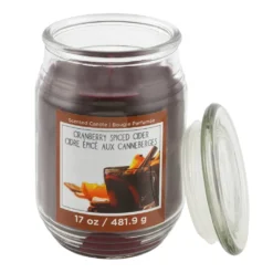 Brand new 👏 Cranberry Spiced Cider Scented Jar Candle by Ashland® ❤️ 5 Brand new 👏 Cranberry Spiced Cider Scented Jar Candle by Ashland® ❤️ -Outlet Yuletide Joy Store 10699752 2