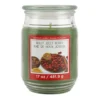 Discount ❤️ Holly Jolly Berry Scented Jar Candle by Ashland® 💯 1 Discount ❤️ Holly Jolly Berry Scented Jar Candle by Ashland® 💯 -Outlet Yuletide Joy Store 10699755 1
