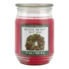 Brand new ✨ Mistletoe & Holly Scented Candle Jar by Ashland® 🤩 -Outlet Yuletide Joy Store 10699761 1