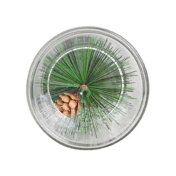 Best Pirce ⭐ 6" Pine Leaf Glass Tealight Holder by Ashland® 👏 -Outlet Yuletide Joy Store 10699910 4