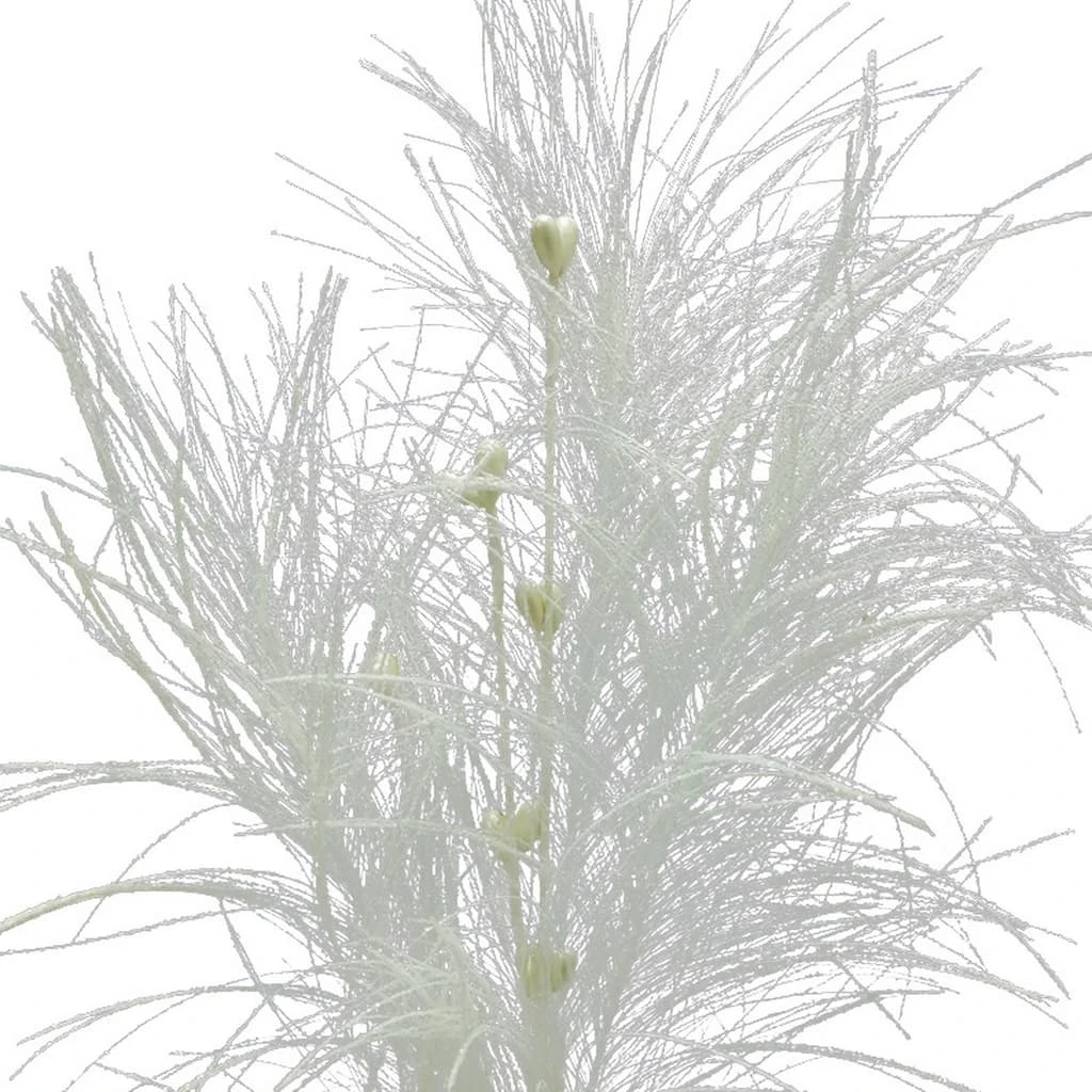 Flash Sale 🎉 Assorted Pampas Grass & Pip Pick by Ashland® ❄ Christmas ❤️ 5 Flash Sale 🎉 Assorted Pampas Grass & Pip Pick by Ashland® ❄ Christmas ❤️ - Image 3