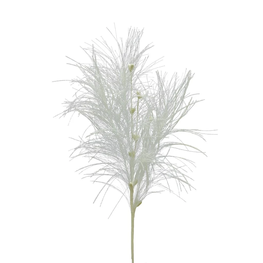 Flash Sale 🎉 Assorted Pampas Grass & Pip Pick by Ashland® ❄ Christmas ❤️ 7 Flash Sale 🎉 Assorted Pampas Grass & Pip Pick by Ashland® ❄ Christmas ❤️ - Image 5