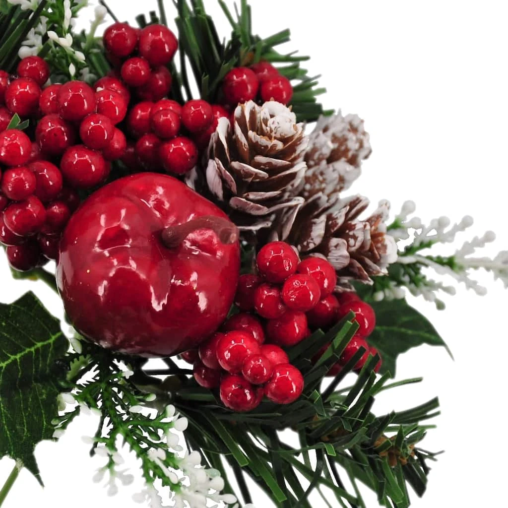 Top 10 π Apple & Berry Pick by Ashland® π€© 4 Top 10 π Apple & Berry Pick by Ashland® π€© - Image 2