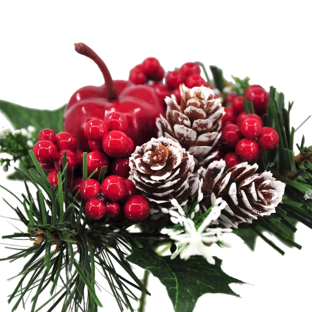 Top 10 π Apple & Berry Pick by Ashland® π€© 6 Top 10 π Apple & Berry Pick by Ashland® π€© - Image 4