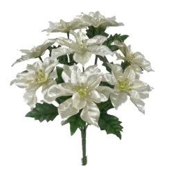 Cheap ⌛ Champagne Poinsettia Bush by Ashland® 🤩